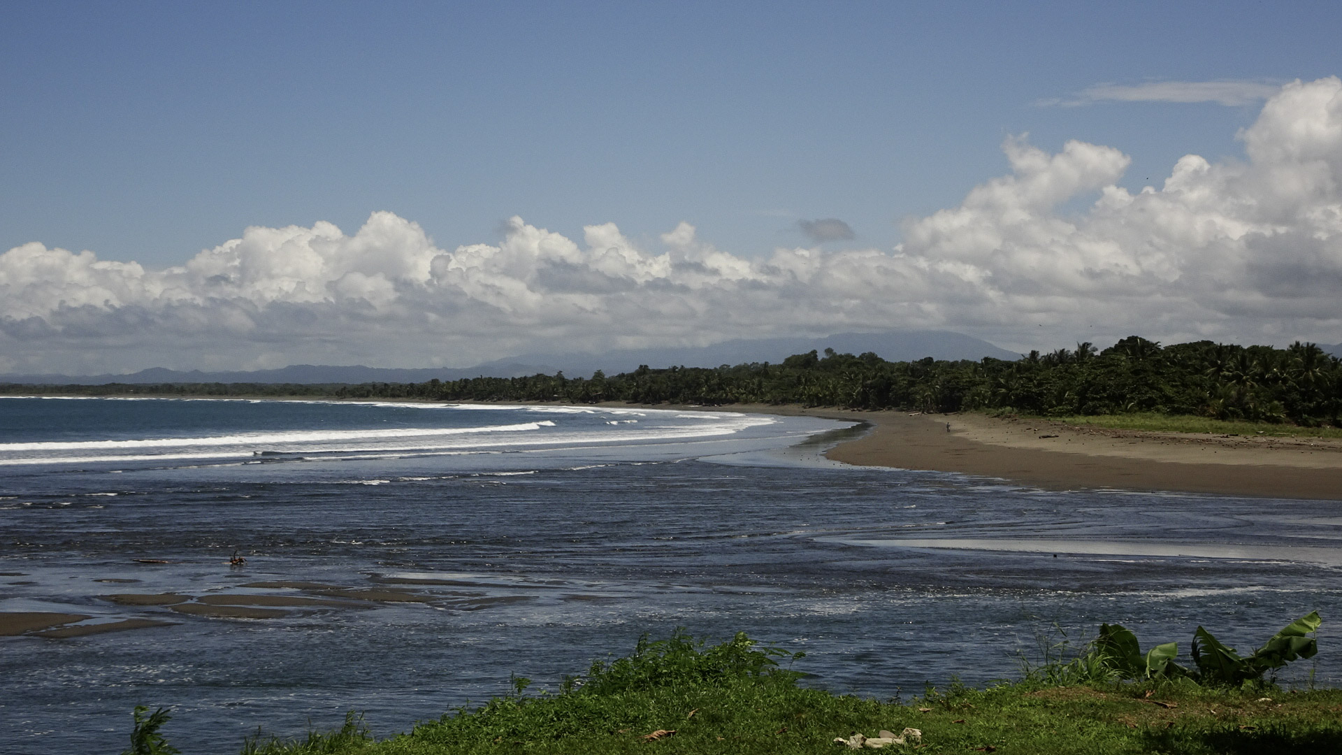 Blick auf Pazifik, Strand mit dichten Palmen in Quepos, Costa Rica