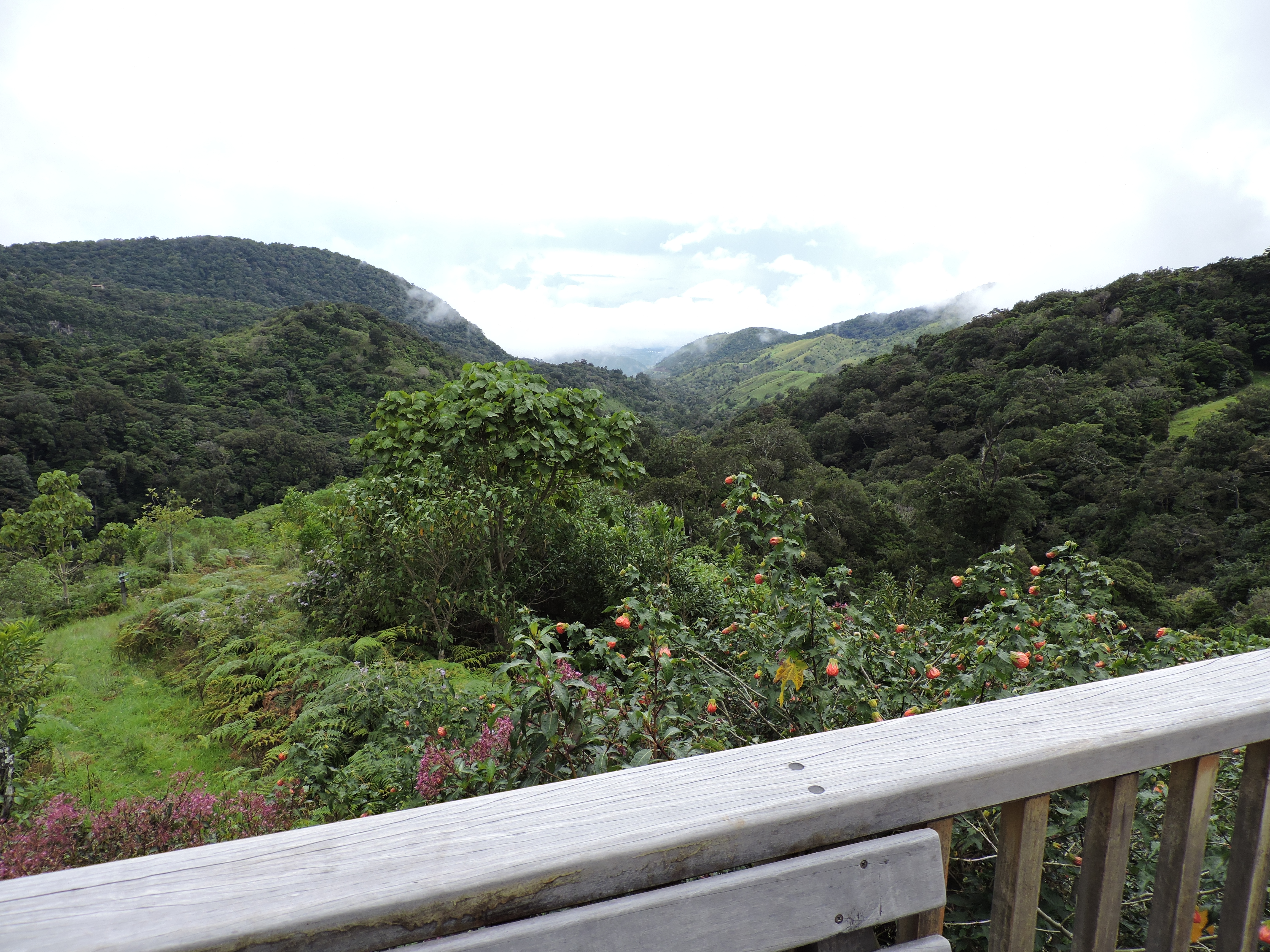 Ausblick Natur Panama Mount Totumas Cloud Forest Lodge