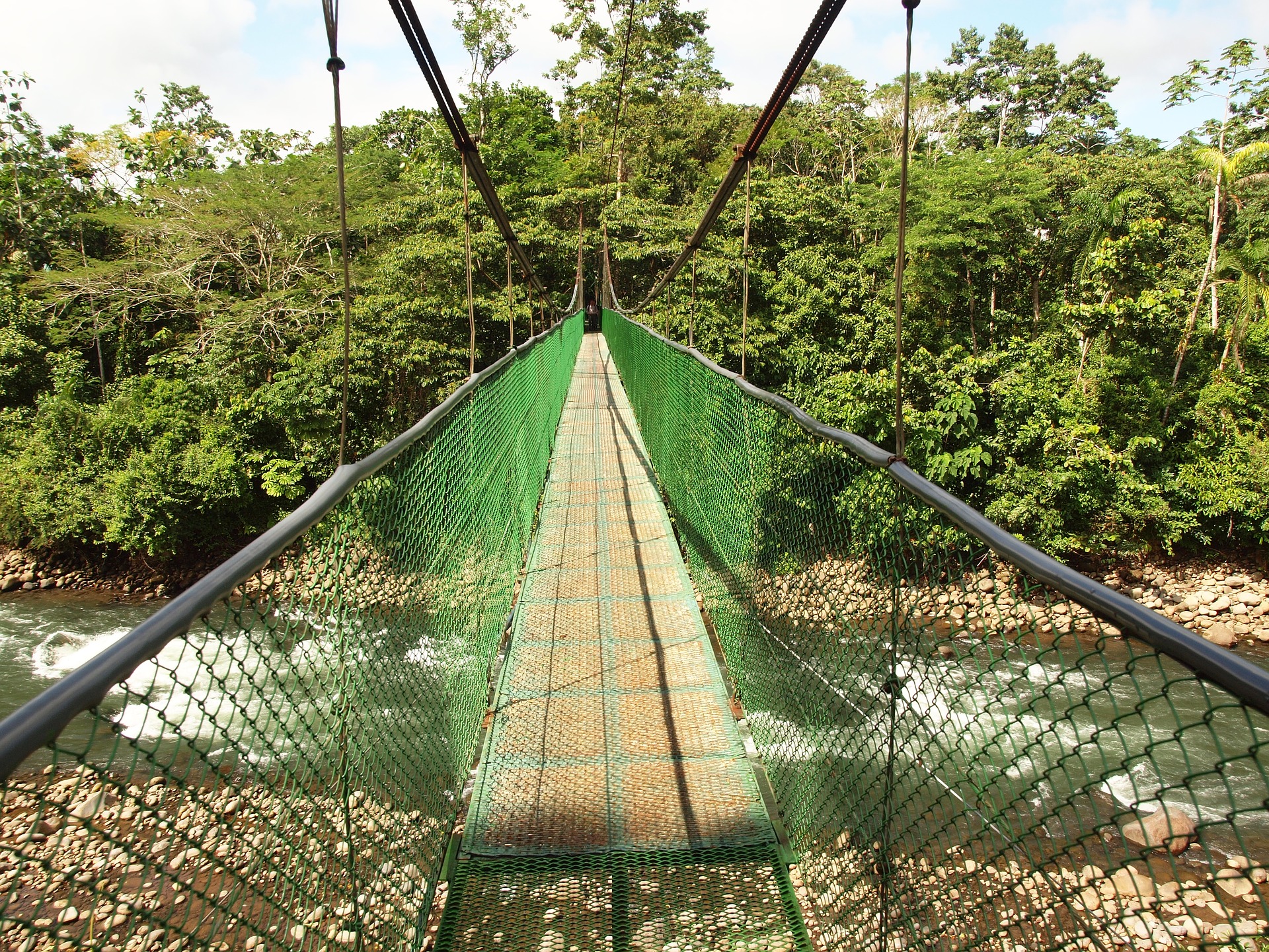 Brücke Regenwald Costa Rica