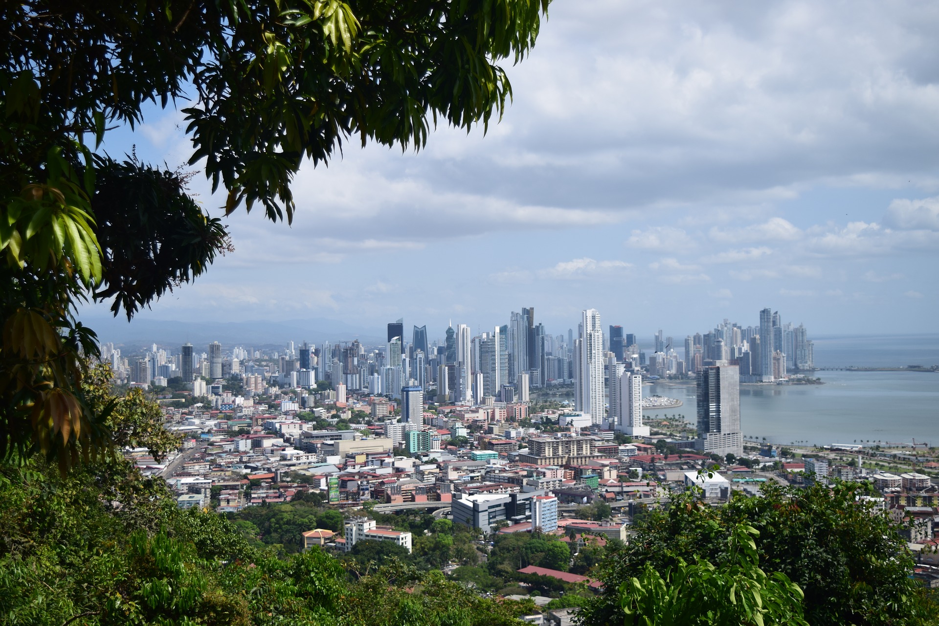 Skyline Panama City mit Urwald
