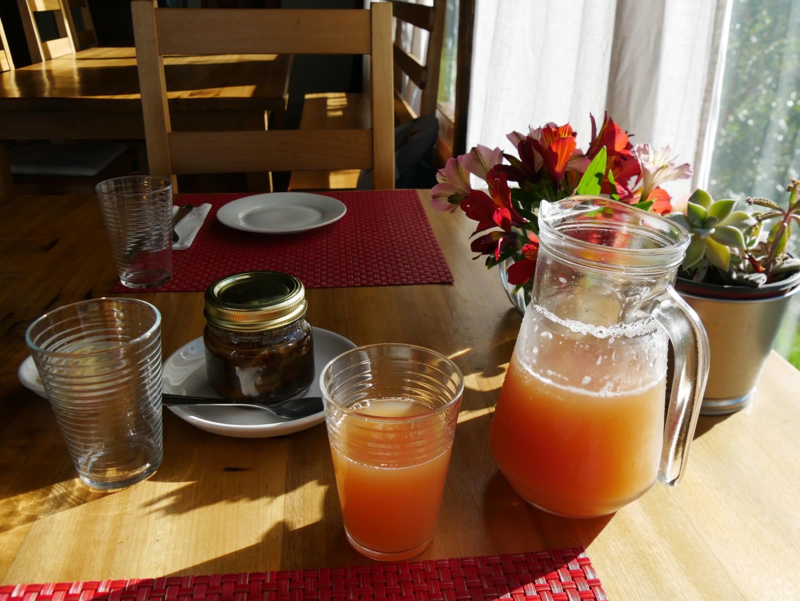 Frühstück Mount Totumas Lodge