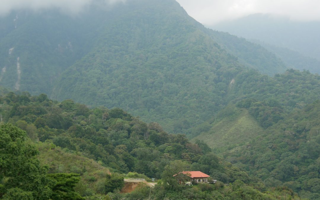 Regenwald Panama Hotel