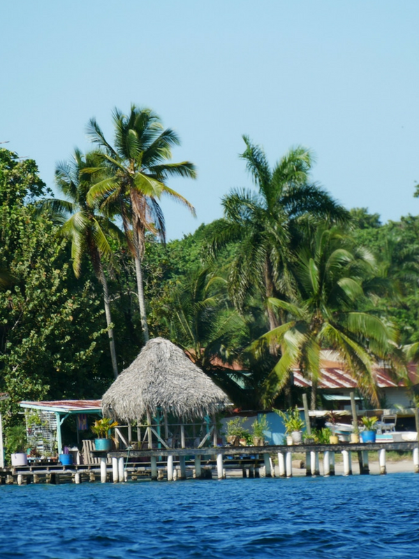 Blick auf Insel Bocas del Toro Panama Reise