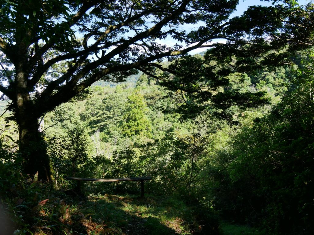 Rundreise durch Panama geplant von Panama-Kennern