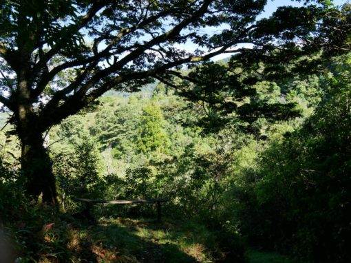 Rundreise durch Panama geplant von Panama-Kennern