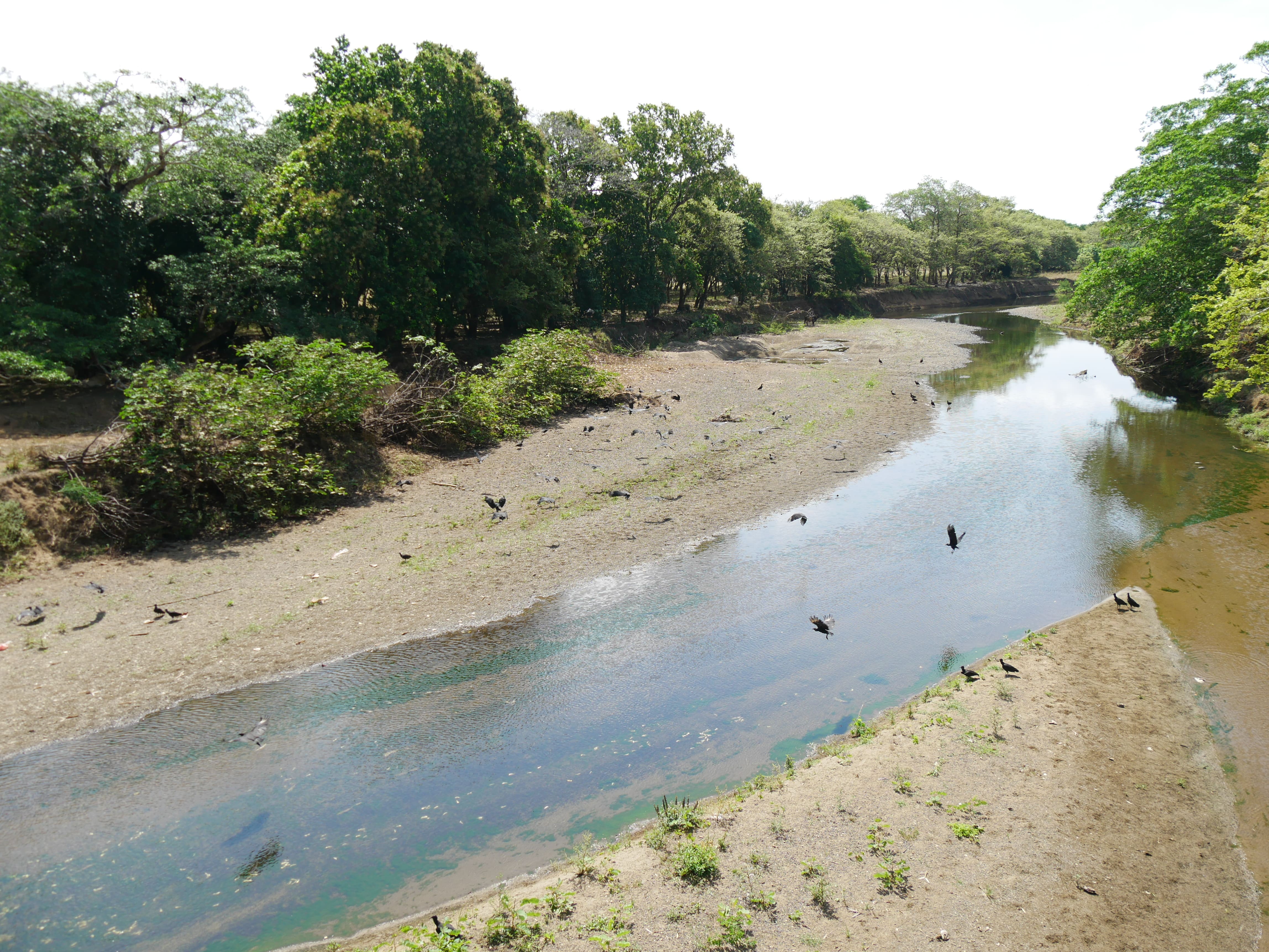 Rio Oria Panama
