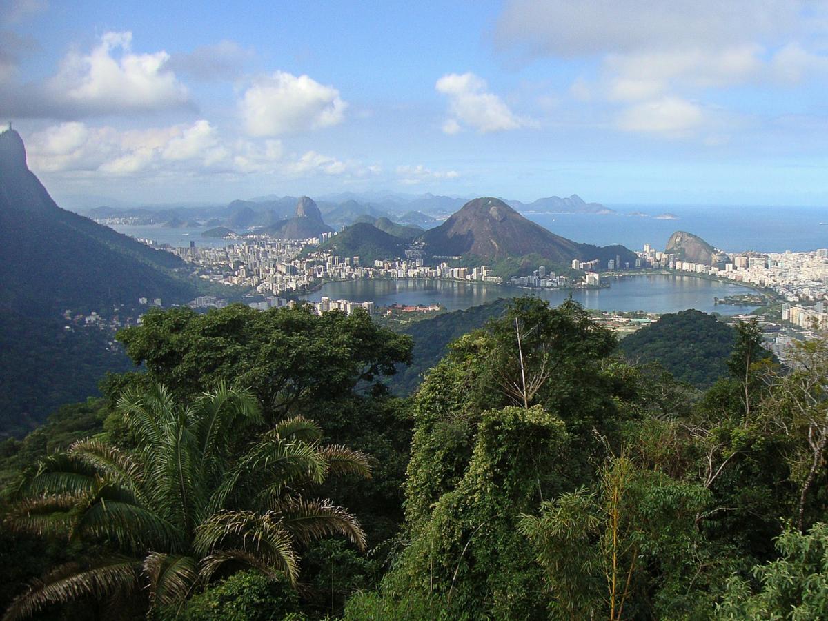 Blick auf Rio de Janeiro mit Palmen