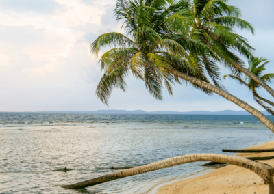 Panama San Blas Inseln Palmen