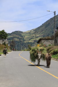 Einheimische Ecuador_Familienreise Ecuador