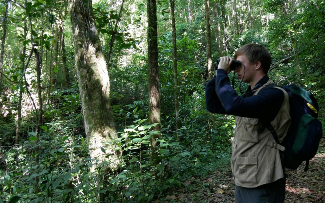 Vogelbeobachtung_Panama_Reise