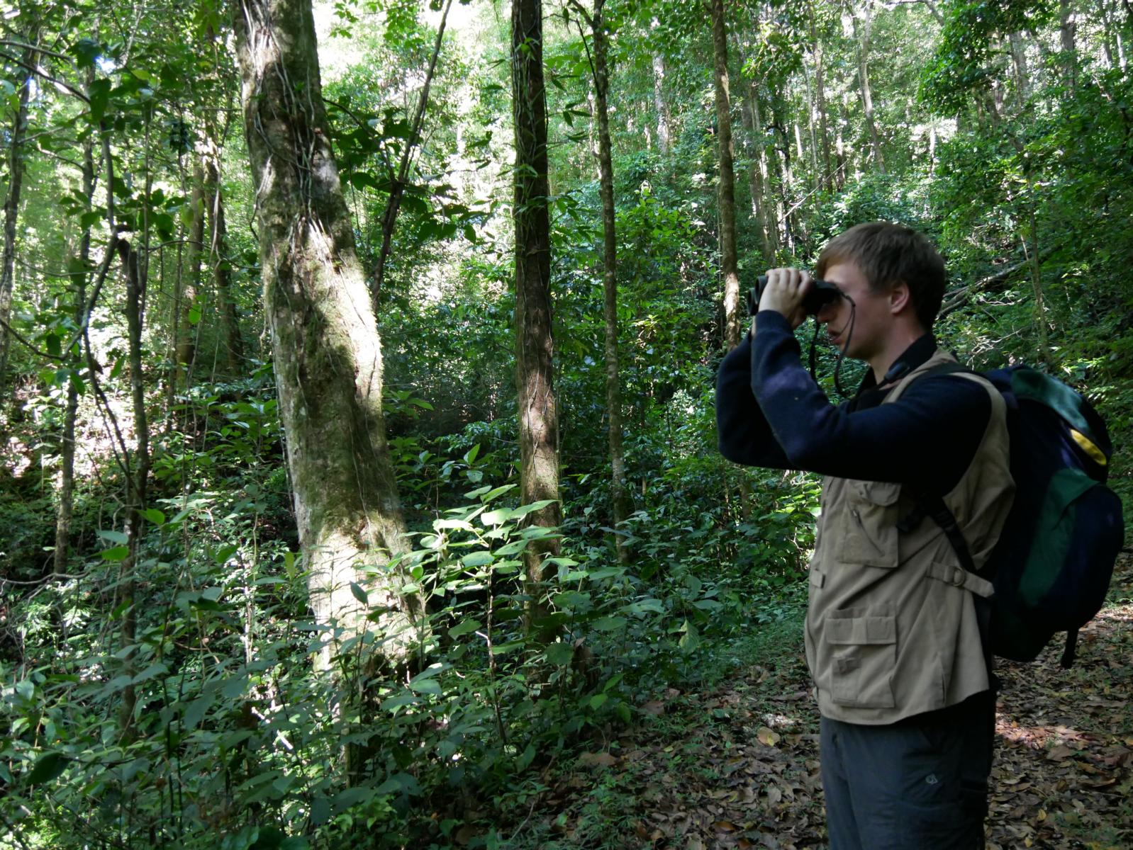 Vogelbeobachtung_Panama_Reise
