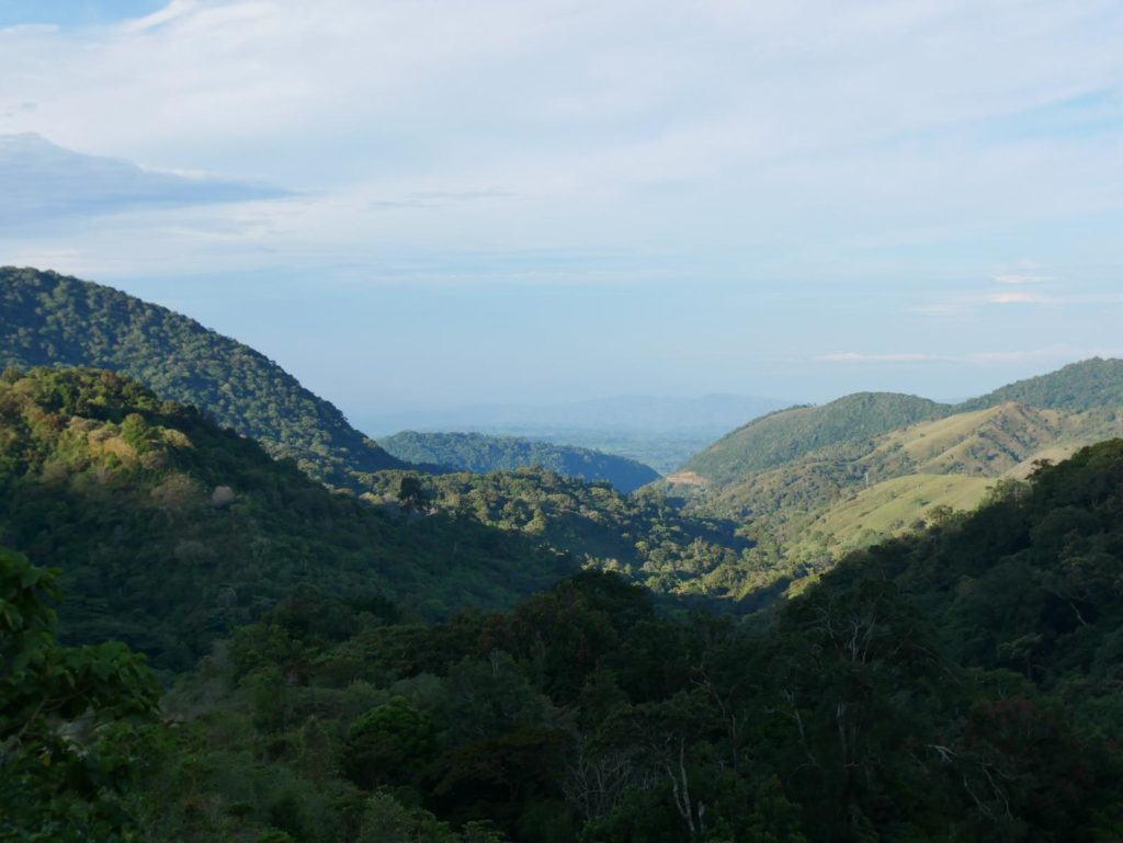 Blick Mount Totumas Lodge_Panaam