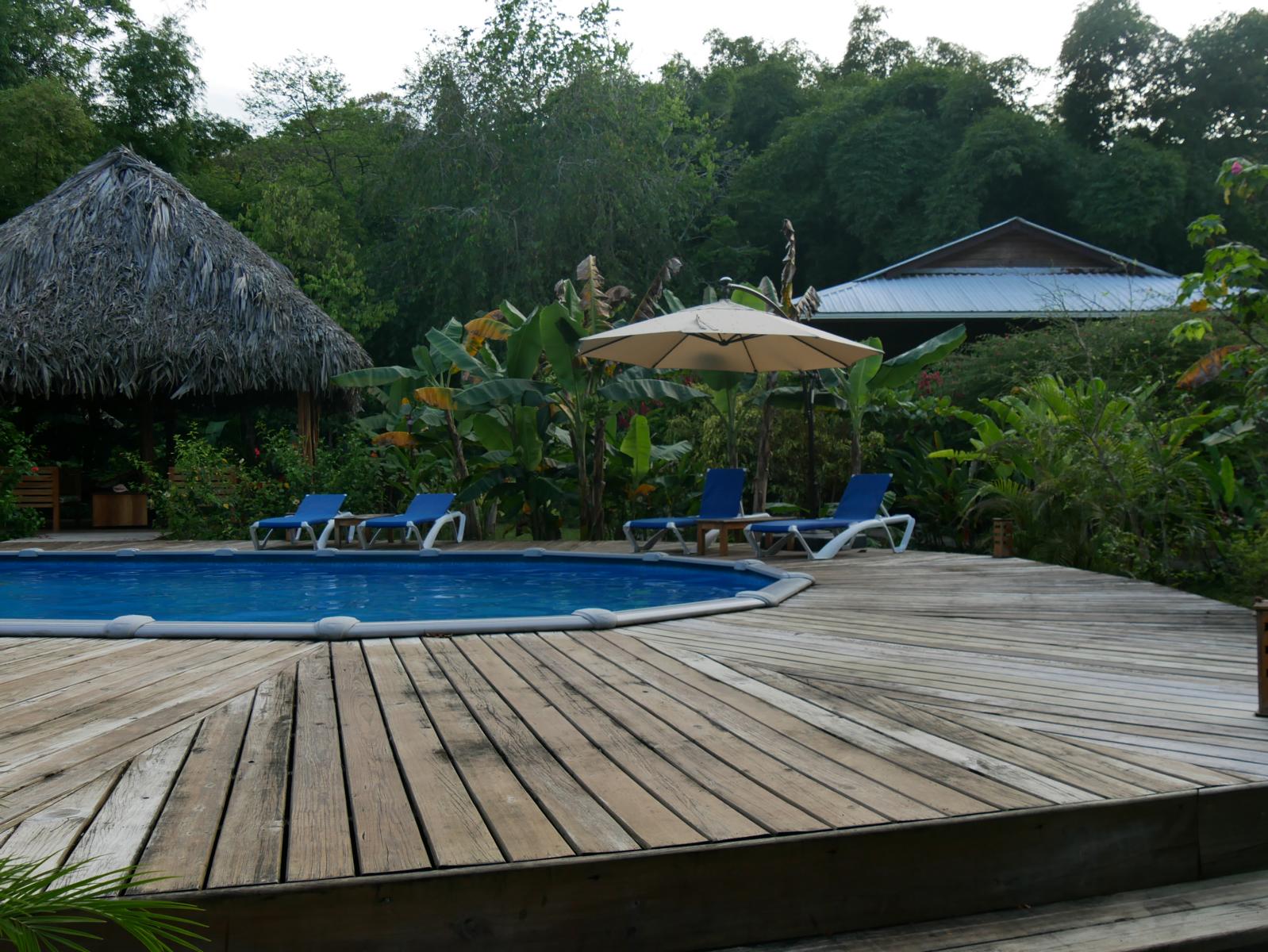 Unterkunft mit Pool Bocas Panama Reise