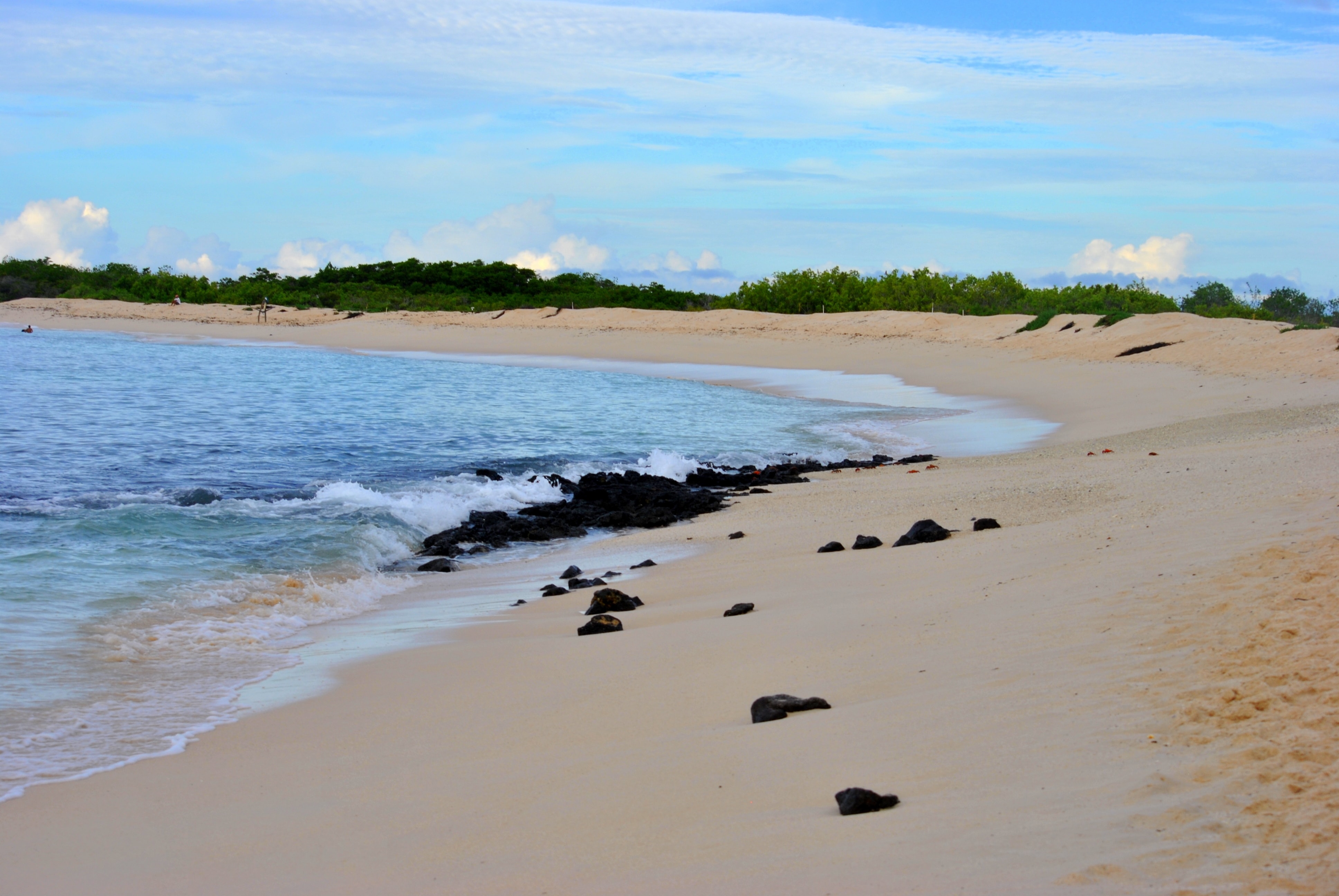 Beste Reisezeit Galapagos 