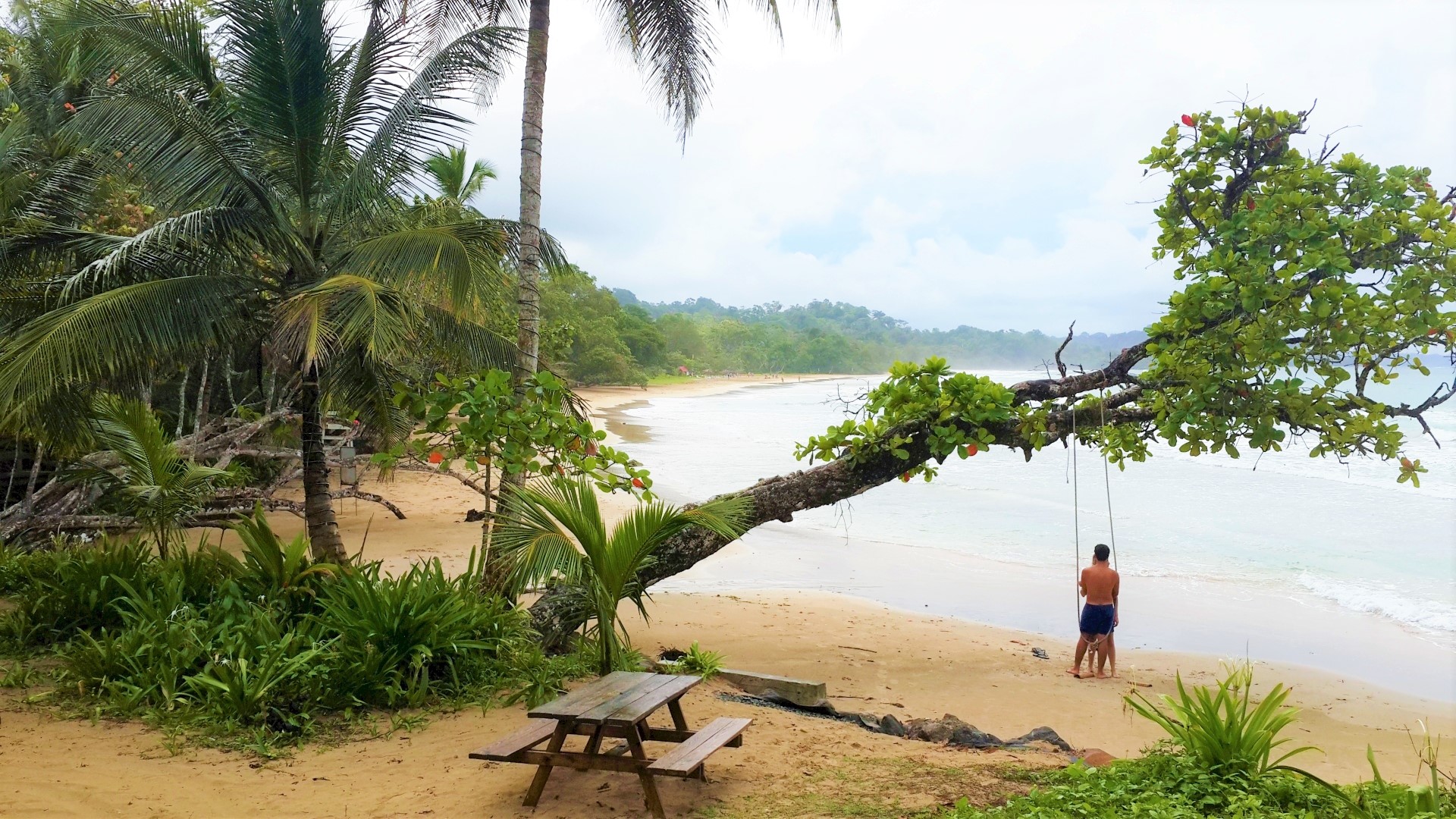 Inseltour Bocas del Toro Red Frog