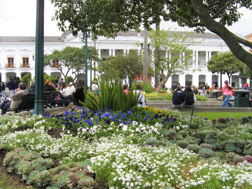 Quito Blumen Reisebericht Gonjoy