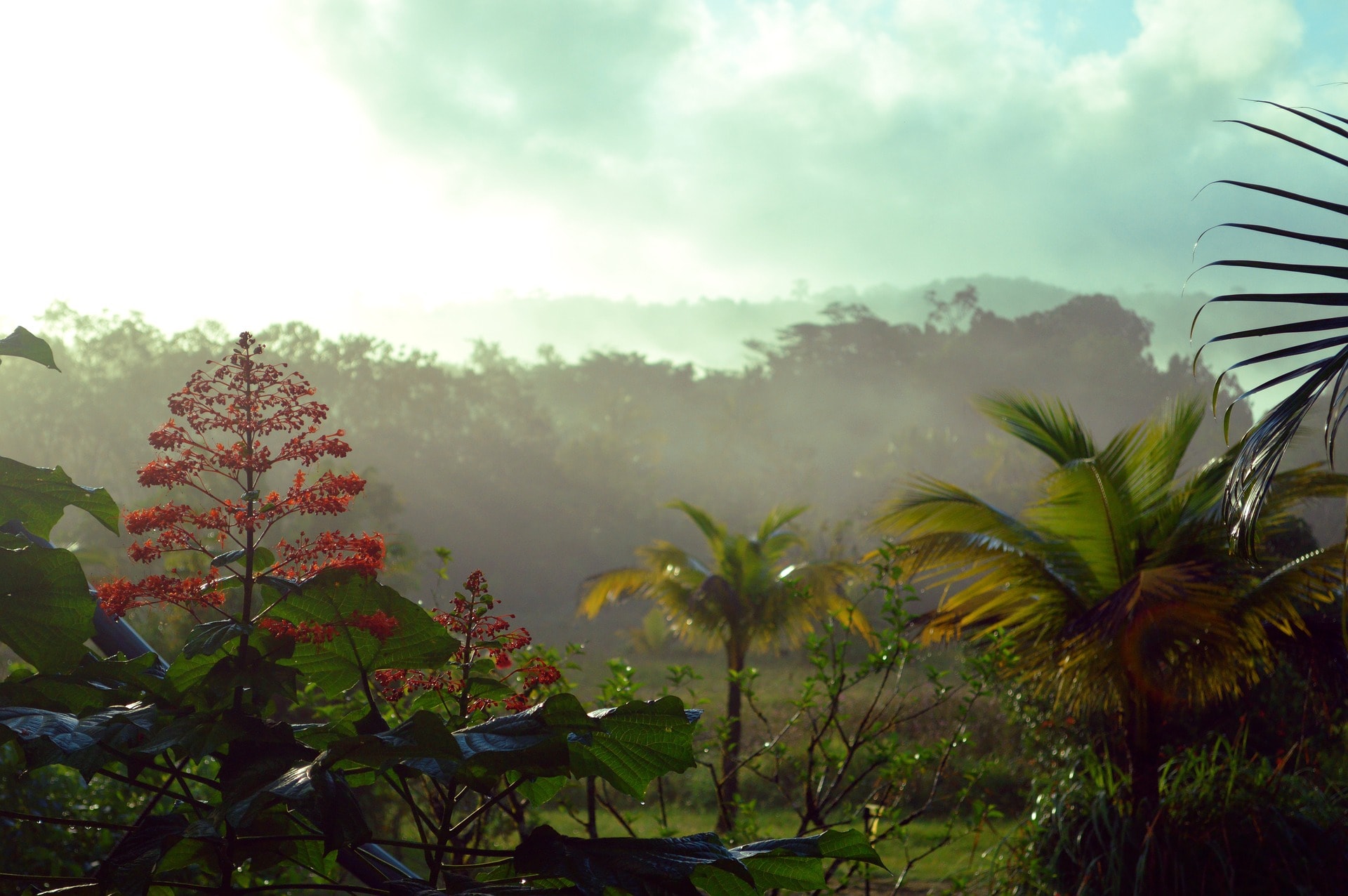 Guyana_Rundreise_Natur_Landschaft Guyana_Rundreise_Natur_Landschaft