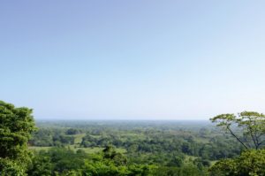 Ausblick Palenque Mexiko Reise