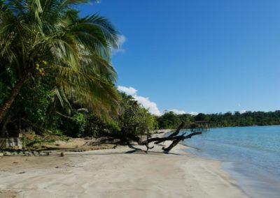 Traumstrand Bocas del Toro Panama Reise