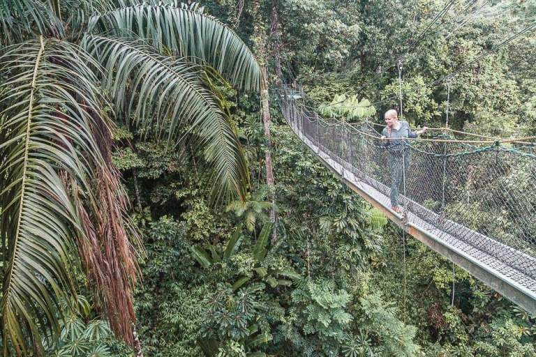 Baumwipfelpfad Guyana Reise