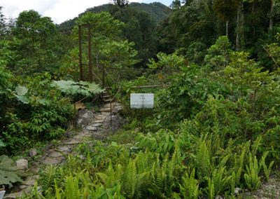 Boquete Panama Tour