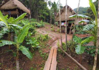 Tagesausflug Panama City Embera