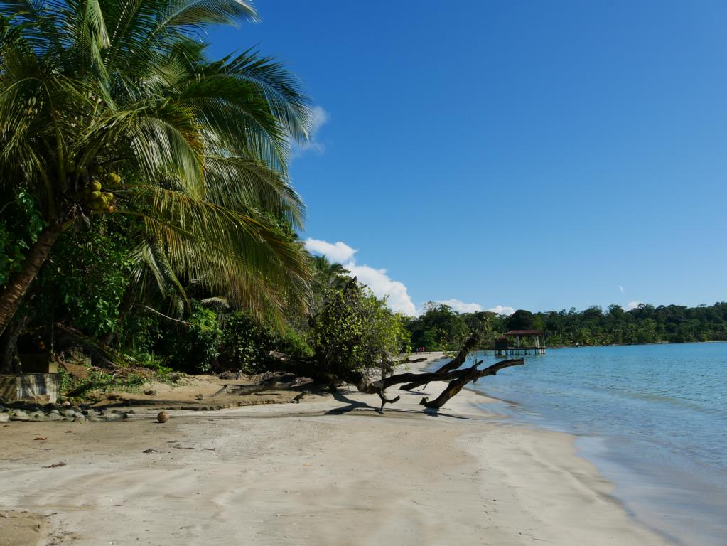 Panama Bocas del Toro Naturamerica Reisen