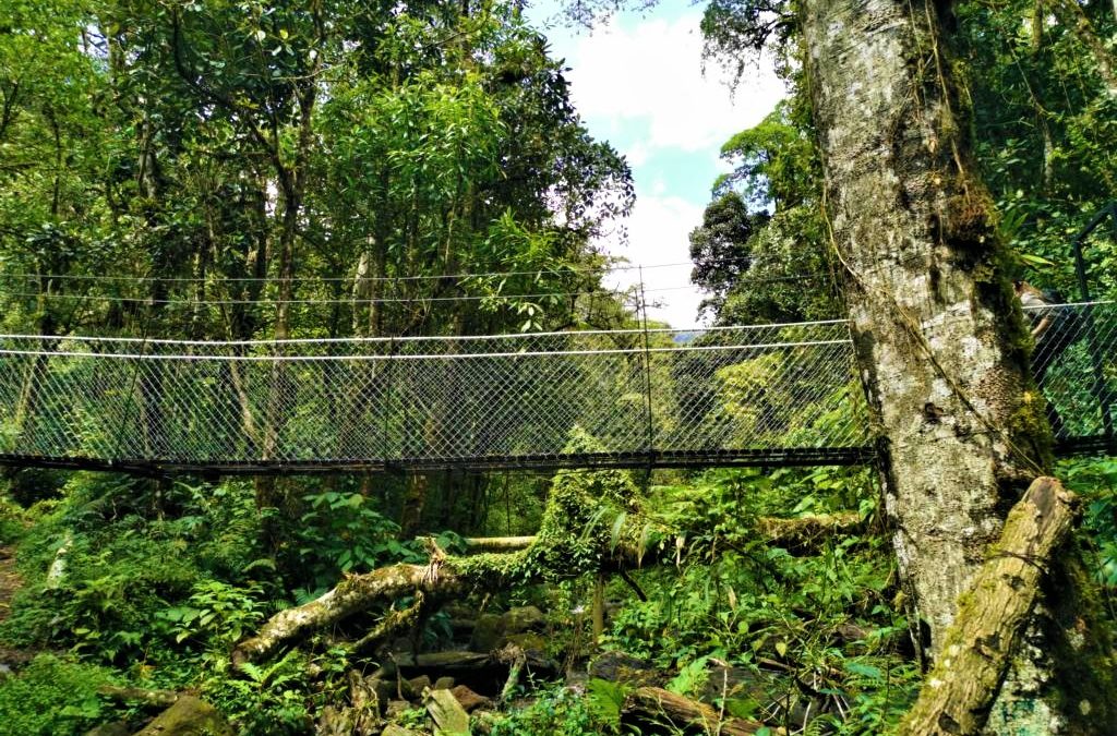 Boquete Regenwald Sehenswürdigkeit Panama