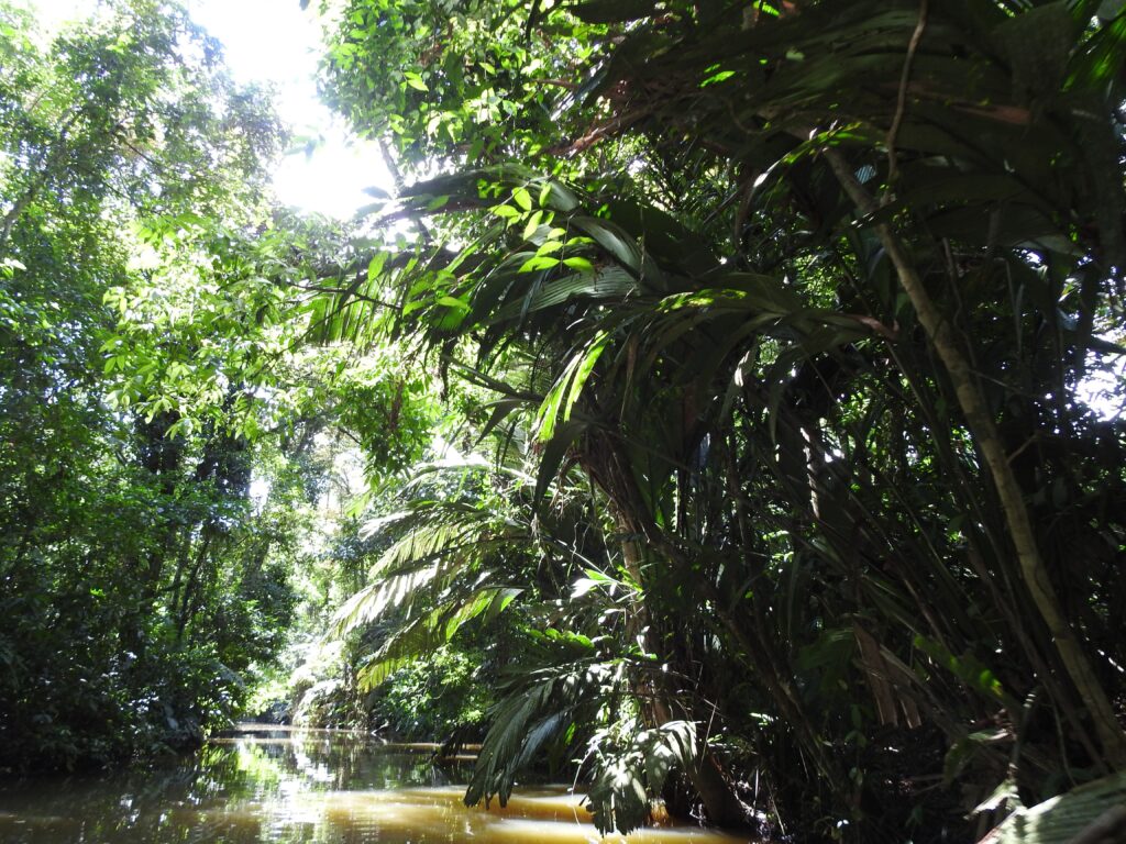 Costa Rica alleine als Frau