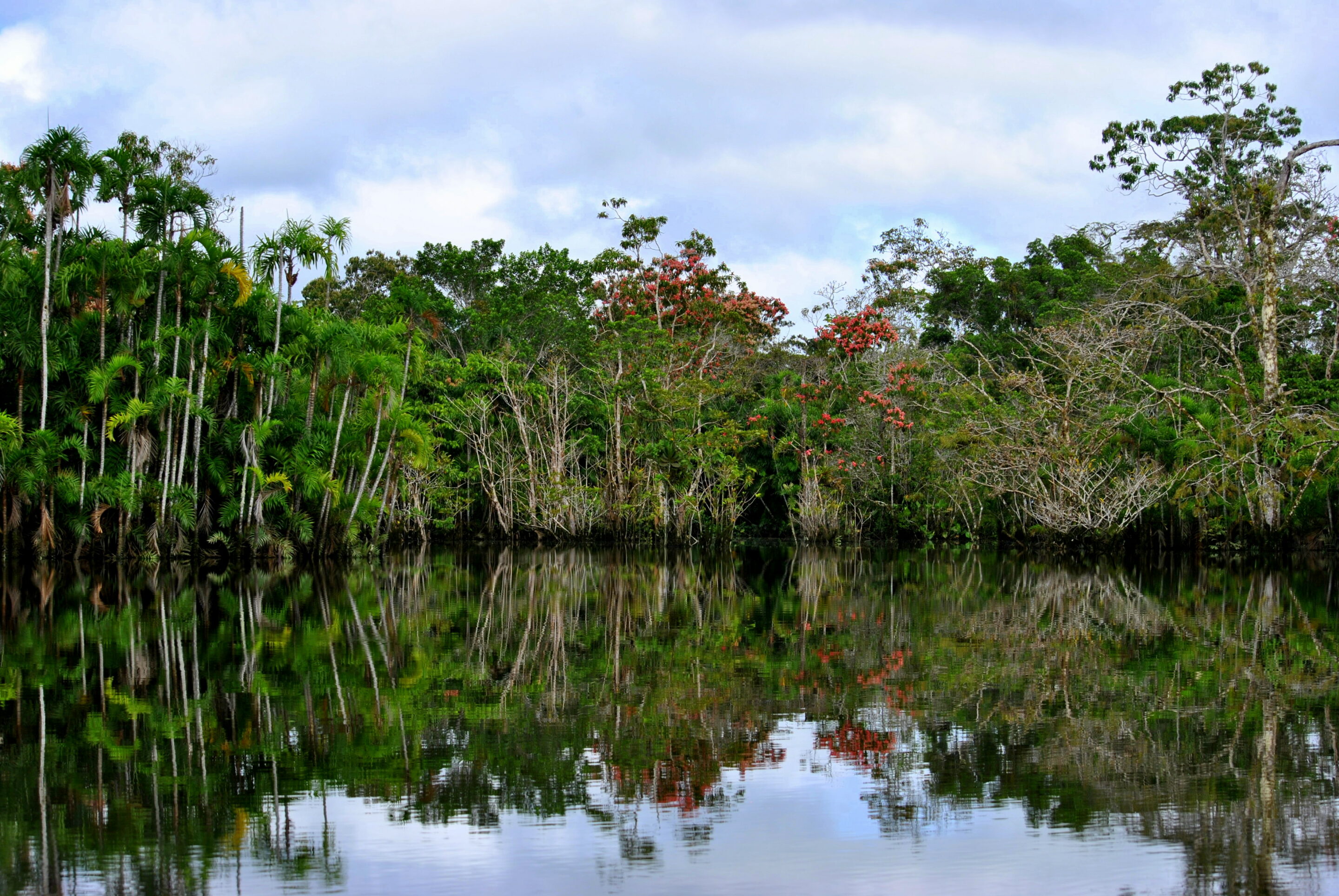 Beste Reisezeit Dschungel Ecuador