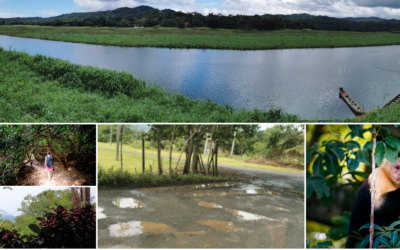 Wie die Regenzeit in Panama deine Reise bereichern kann!