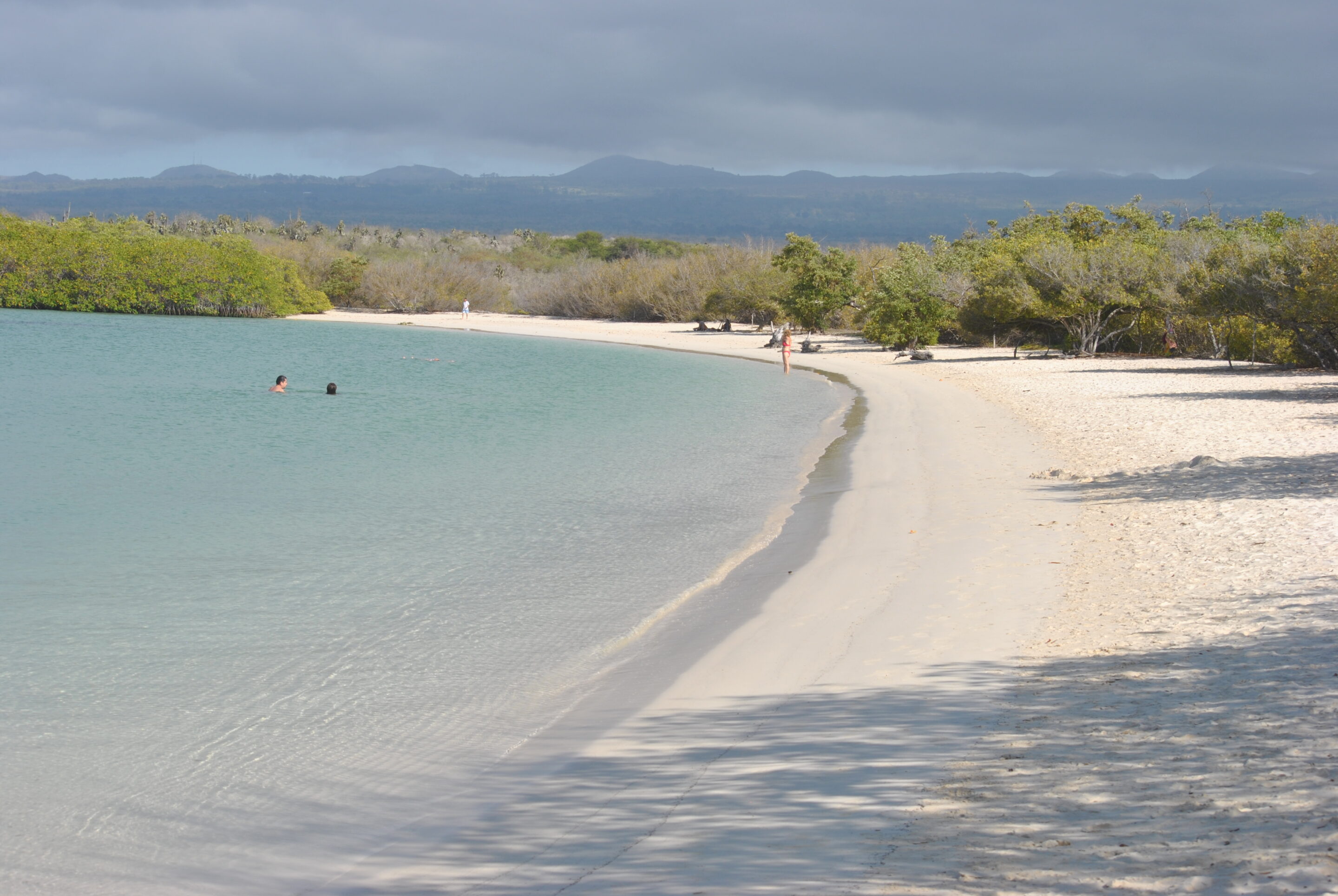 Galapagos Beste Reisezeit