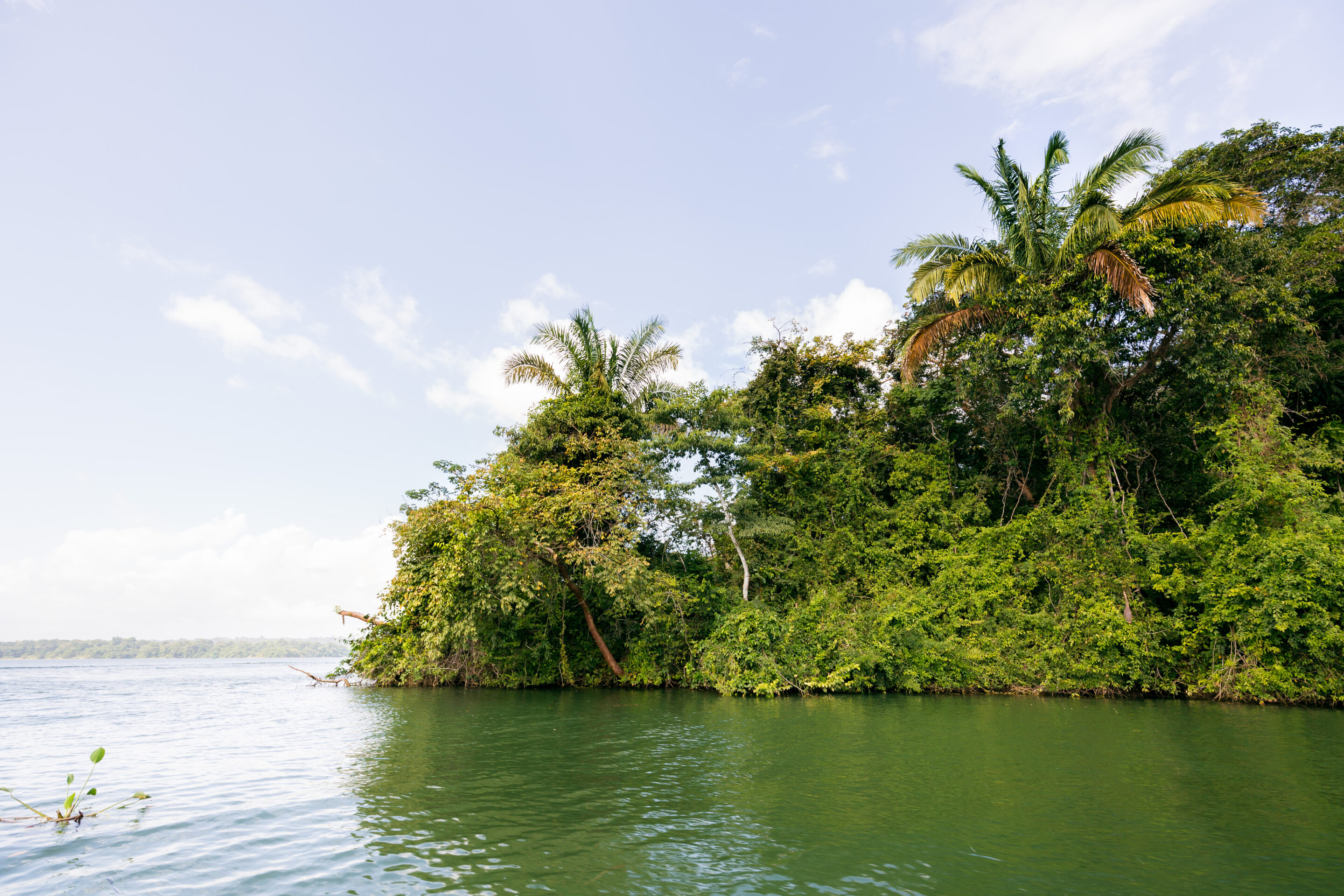 Panama Reise Nationalpark Soberania