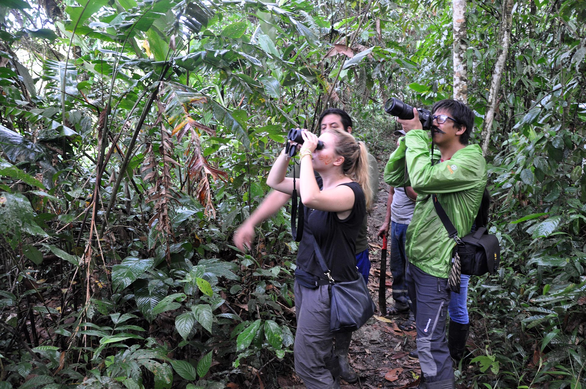 Archidona Regenwald Ecuador
