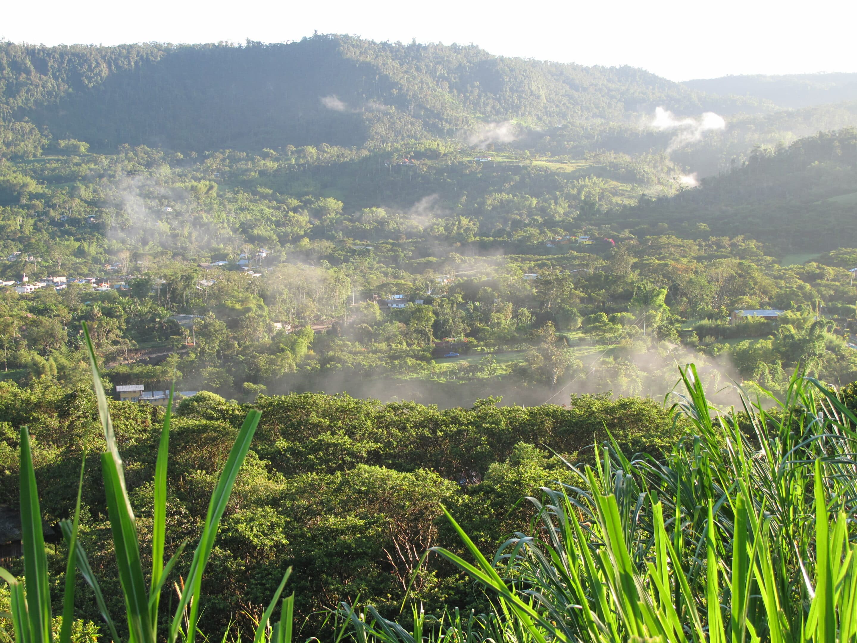 Nationalpark Soberania Tagesausflug Panama