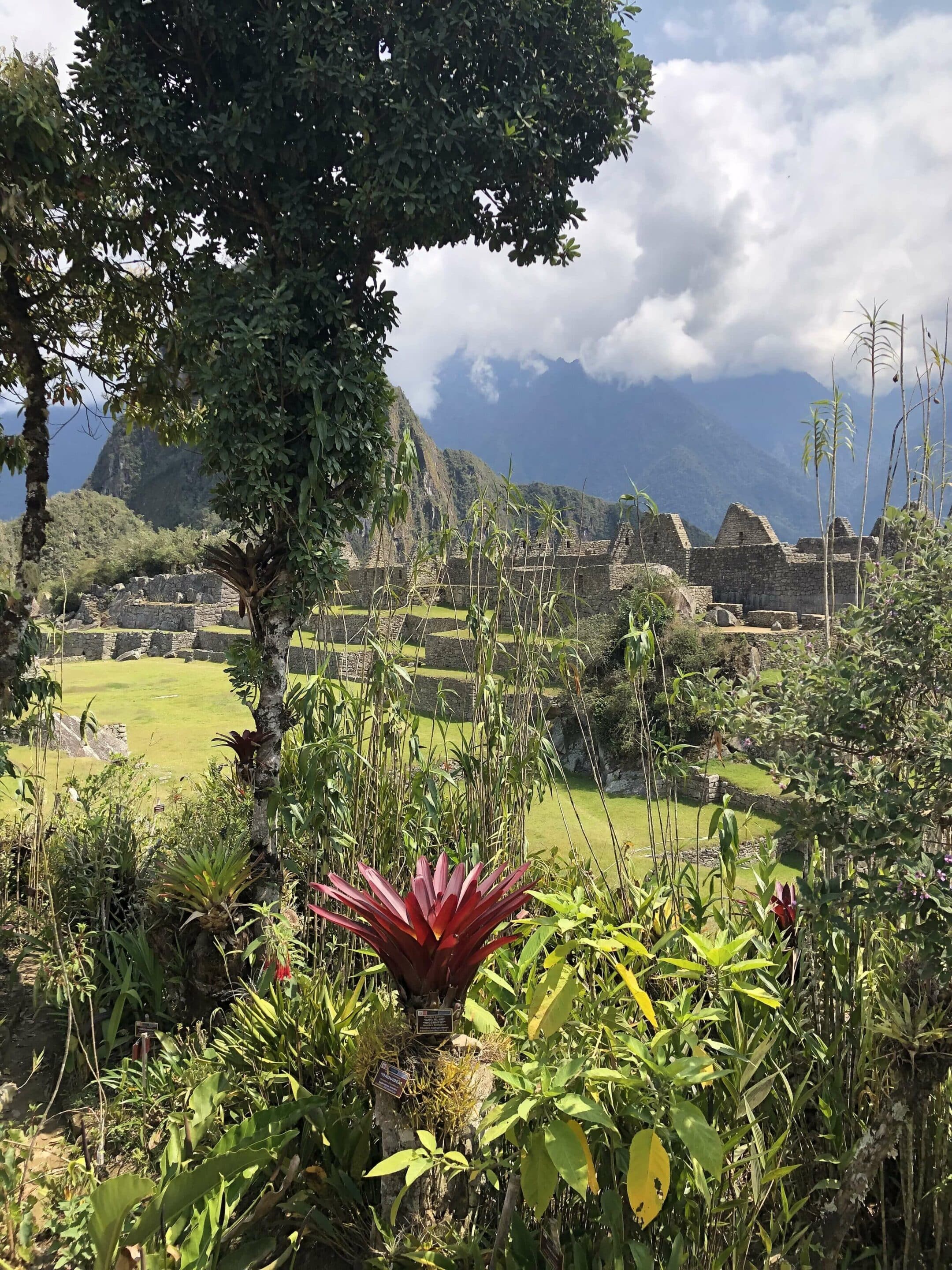 Machu Picchu