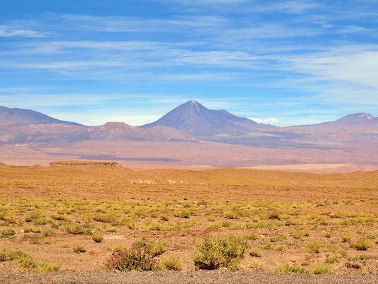 Chile Gruppenreise Atacama