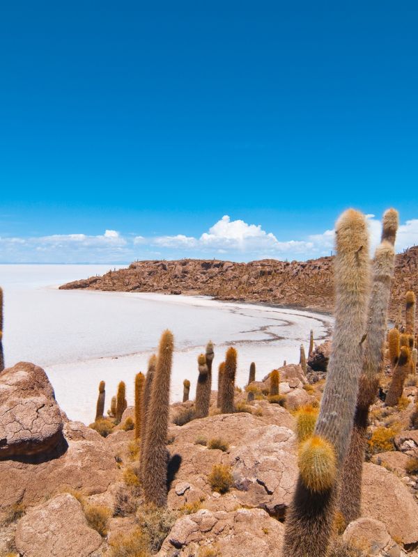 Salar de Atacama Bolivien 600x800