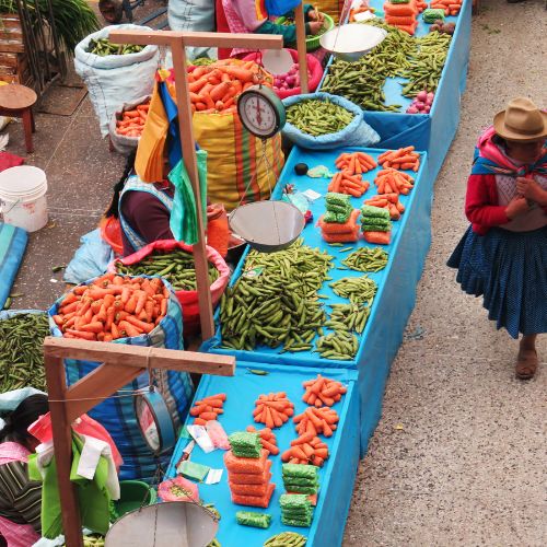 Canva Bilder für Otto Tours Mythos Amazonas Markt Amazonas Peru