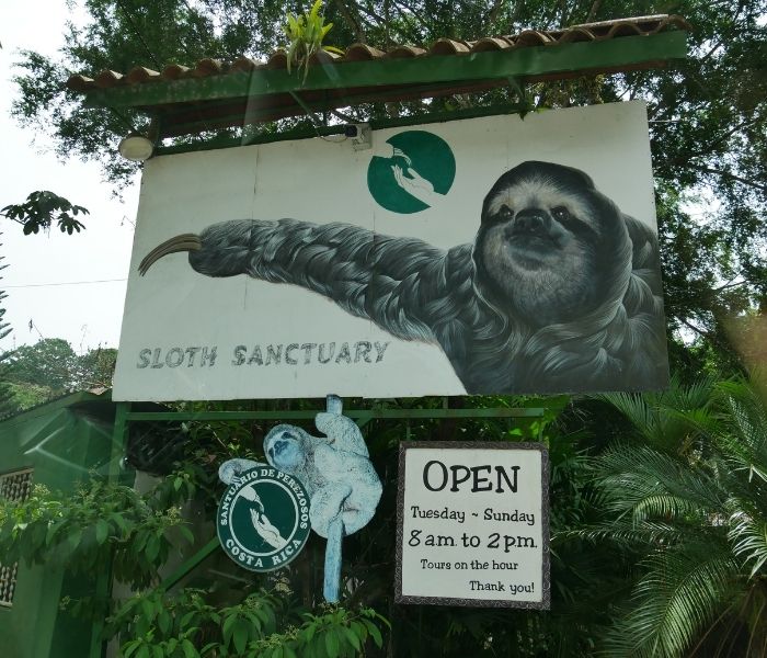 Costa Rica Faultierzentrum Sloth Sanctuary