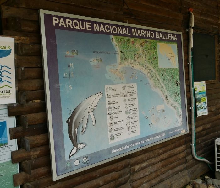 Costa Rica Parque Nacional Marino Ballena