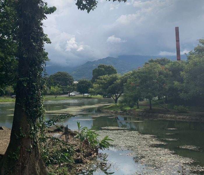 Costa Rica San Jose Parque1