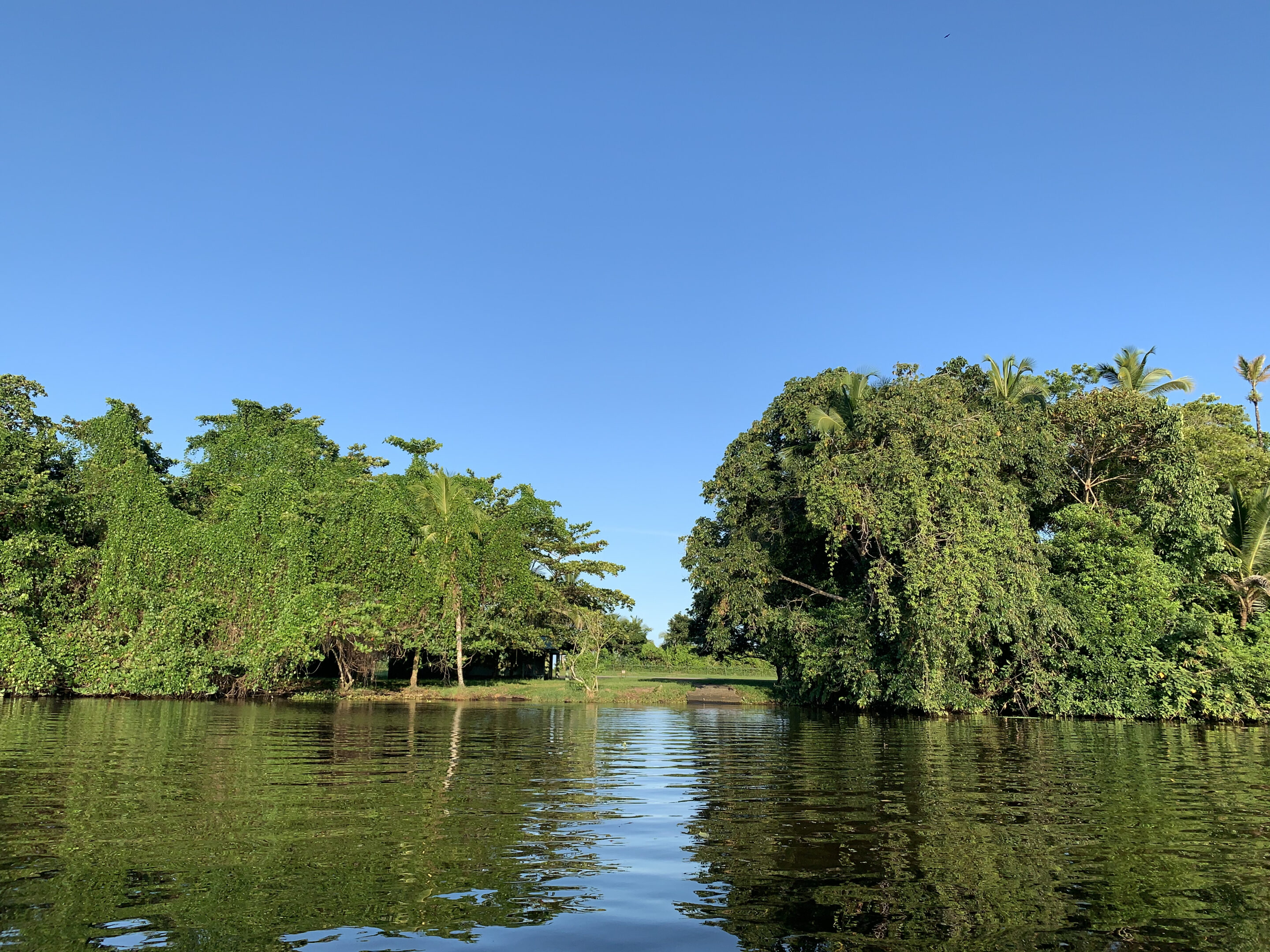 Costa Rica Tortuguero11