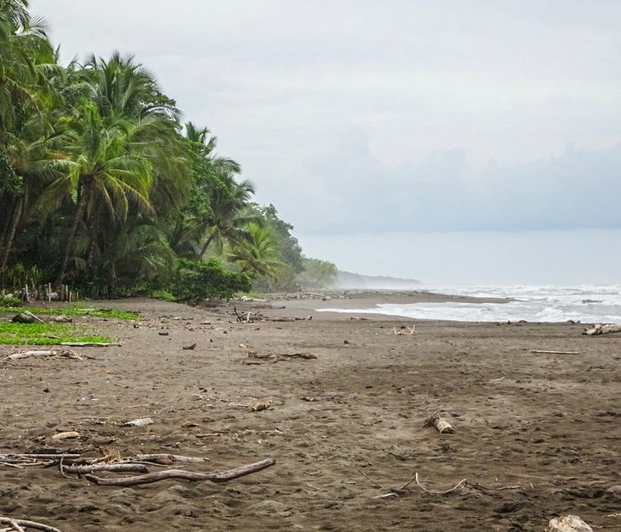 Costa Rica Tortuguero19