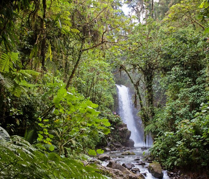 La Paz Wasserfall Costa Rica Canva