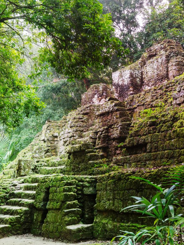 Maya Mexiko Guatemala Belize Tikal Guatemala