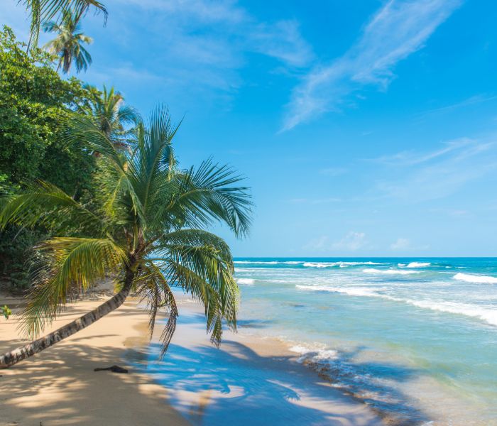 Puerto Viejo de Limon Costa Rica Canva