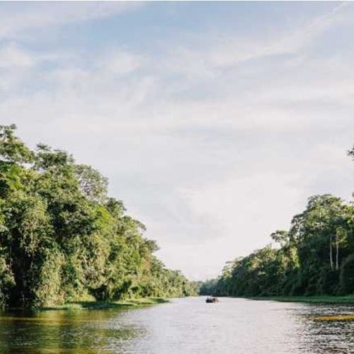 Reisebaustein Tortuguero 