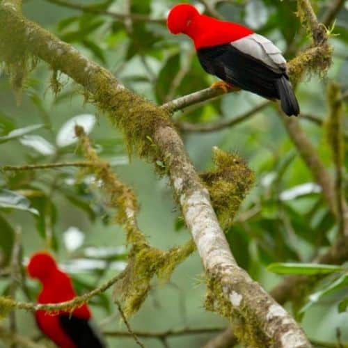 Ecuador Aktiv Ottotours Santa Lucia