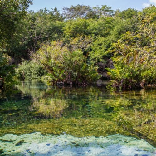Cenote Azul Mexiko Pur Ottotours